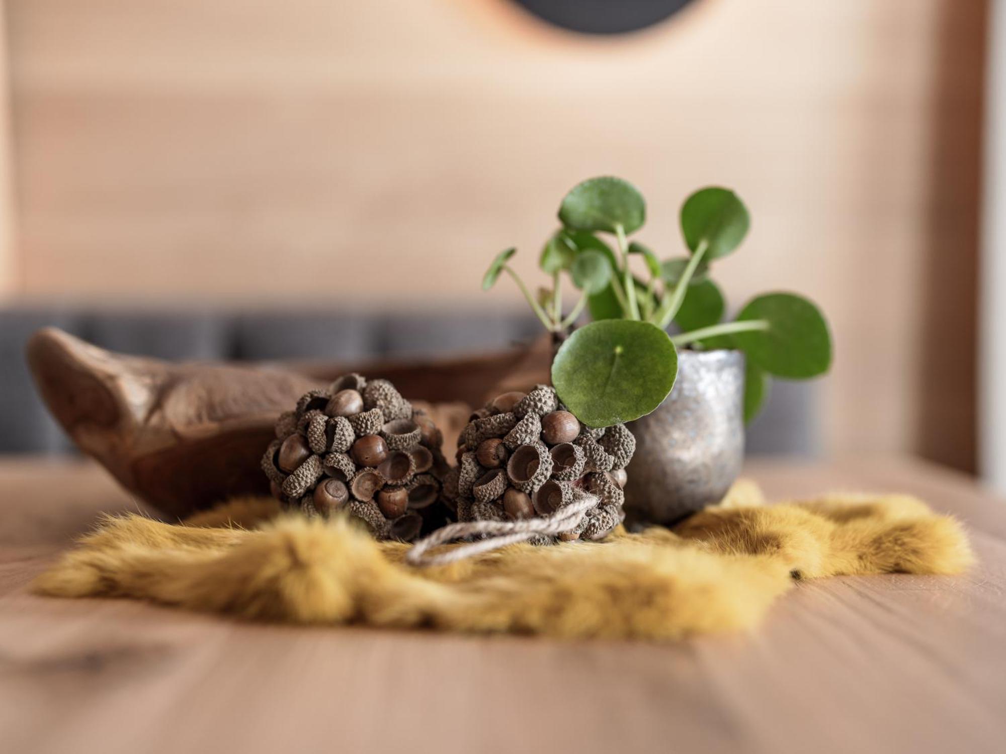 엄하우젠 Myalps Oetztal Inklusive Wellness 아파트 객실 사진